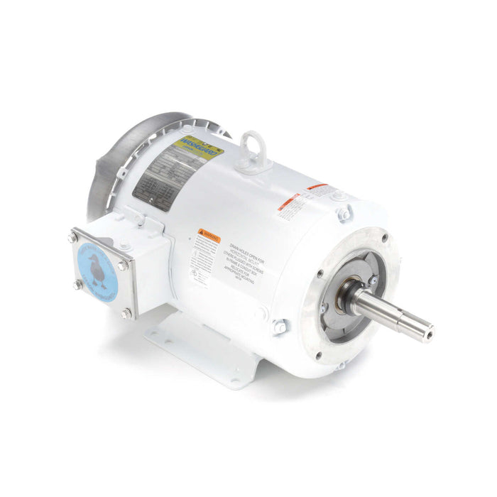 Leeson 132446.00 Three Phase White Duck™ Washdown Duty Pump Motor