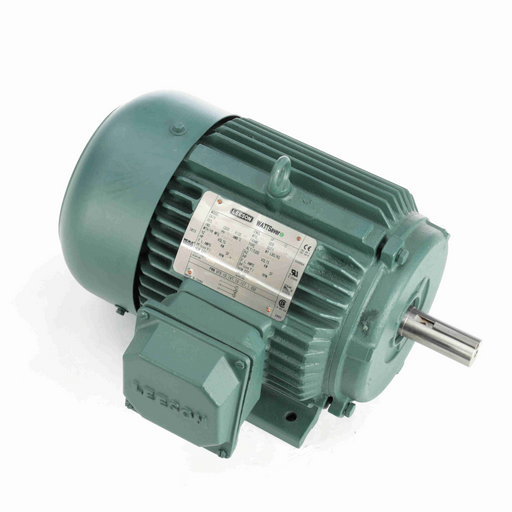 Leeson 171624.60 Three Phase Special Voltage Motor