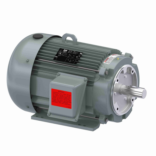 Leeson LM17196 Three Phase Special Voltage Motor
