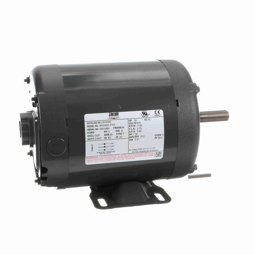 Leeson LM34062 Three Phase Special Voltage Motor