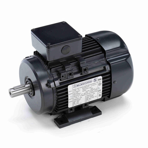 Marathon R316A  IEC Frame Motor - R316A