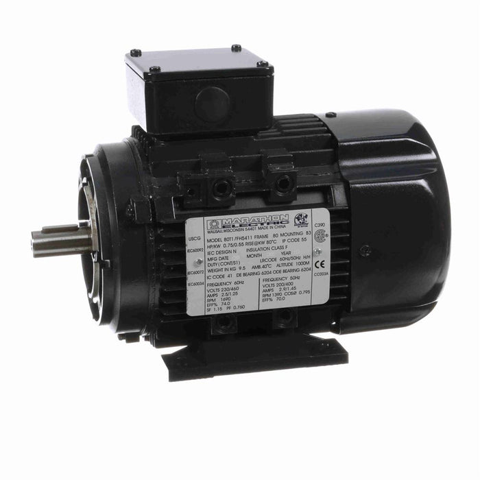Marathon R370  IEC Frame Motor - R370