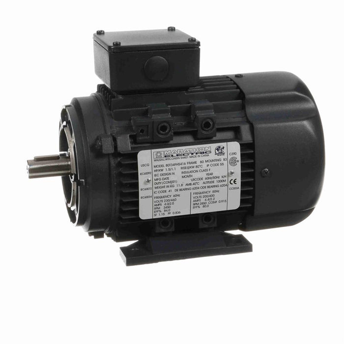 Marathon R375  IEC Frame Motor - R375