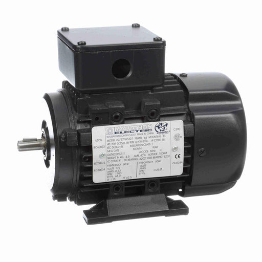 Marathon R401  IEC Frame Motor - R401